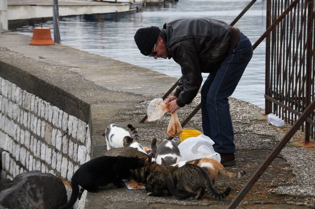 20090119_naplestrp_12_sorrento_cat